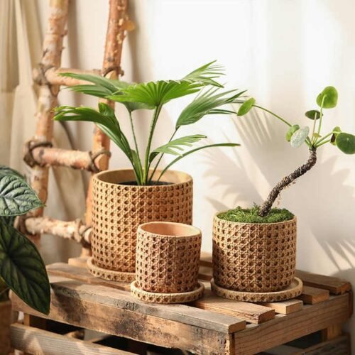 Vintage Checkered Cement Flower Planter
